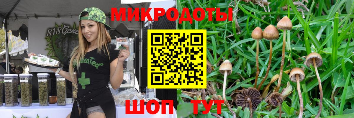 Галлюциногенные грибы мухоморы  Вход с VPN  Кирово-Чепецк 